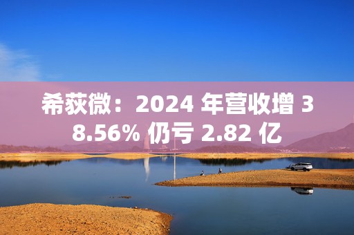 希荻微：2024 年营收增 38.56% 仍亏 2.82 亿