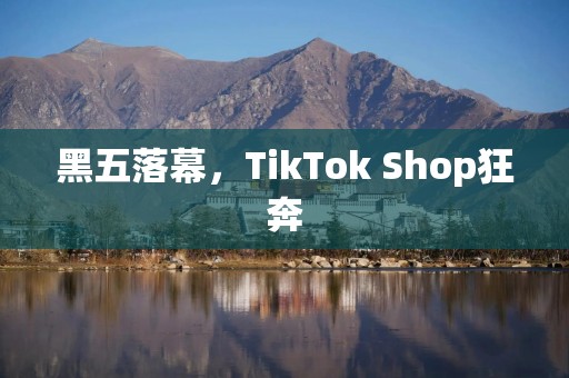 黑五落幕，TikTok Shop狂奔