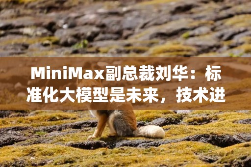 MiniMax副总裁刘华：标准化大模型是未来，技术进化优于定制化 | 最前线