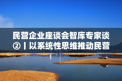 民营企业座谈会智库专家谈②丨以系统性思维推动民营经济发展迈上新台阶