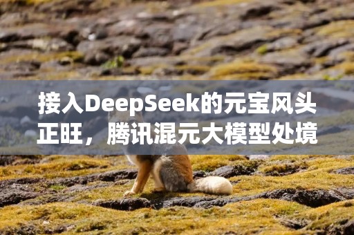 接入DeepSeek的元宝风头正旺，腾讯混元大模型处境尴尬