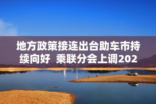 地方政策接连出台助车市持续向好  乘联分会上调2025年零售预测