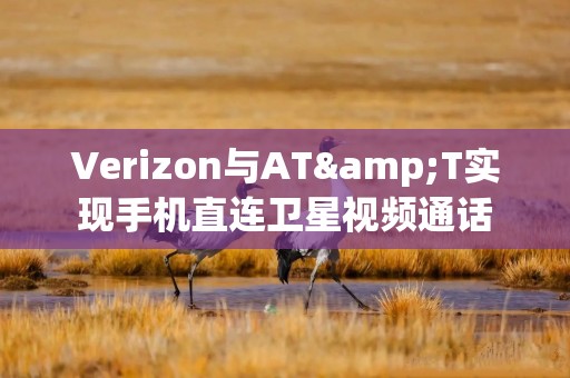 Verizon与AT&T实现手机直连卫星视频通话