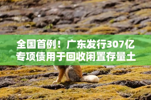 全国首例！广东发行307亿专项债用于回收闲置存量土地