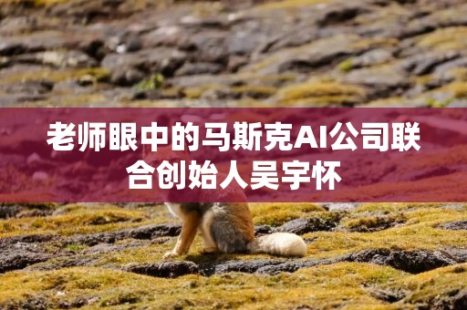 老师眼中的马斯克AI公司联合创始人吴宇怀