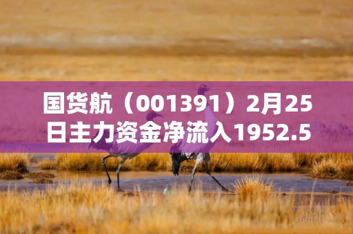 国货航（001391）2月25日主力资金净流入1952.58万元