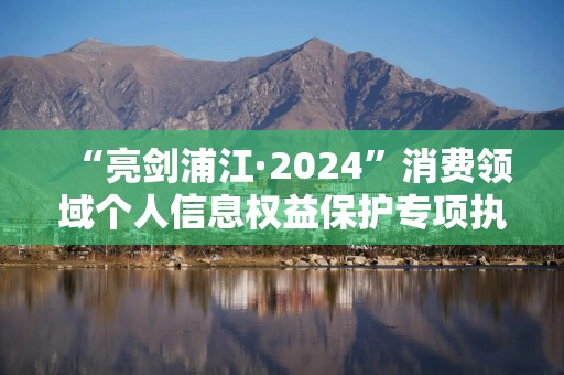 “亮剑浦江·2024”消费领域个人信息权益保护专项执法行动成果发布