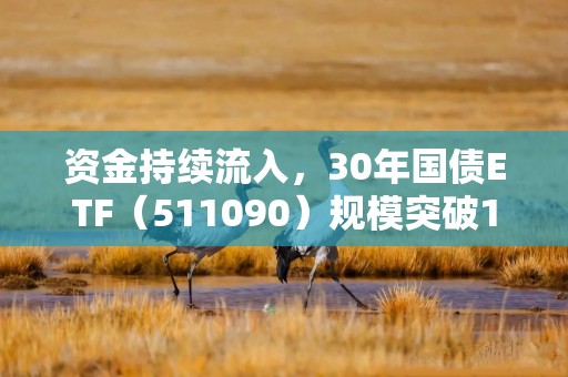 资金持续流入，30年国债ETF（511090）规模突破120亿元再创新高