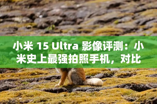 小米 15 Ultra 影像评测：小米史上最强拍照手机，对比徕卡怎么样？