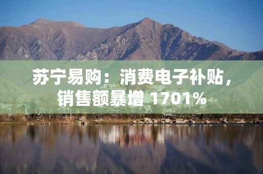 苏宁易购：消费电子补贴，销售额暴增 1701%