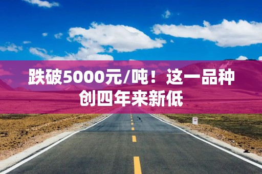 跌破5000元/吨！这一品种创四年来新低