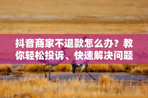 抖音商家不退款怎么办？教你轻松投诉、快速解决问题！