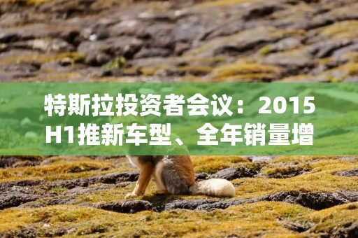 特斯拉投资者会议：2015H1推新车型、全年销量增长目标20-30%，算力推动FSD大幅提升、自动驾驶在欧美无对手