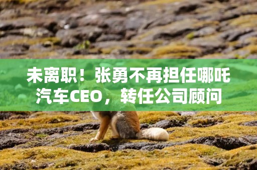 未离职！张勇不再担任哪吒汽车CEO，转任公司顾问