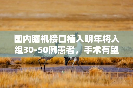 国内脑机接口植入明年将入组30-50例患者，手术有望实现标准化