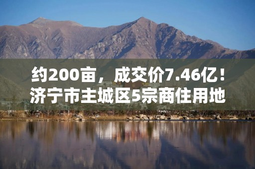 约200亩，成交价7.46亿！济宁市主城区5宗商住用地成功出让