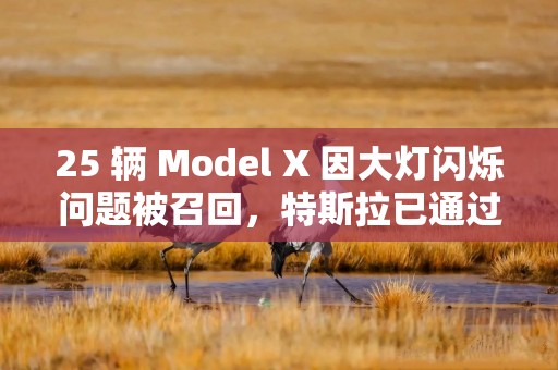 25 辆 Model X 因大灯闪烁问题被召回，特斯拉已通过OTA更新修复