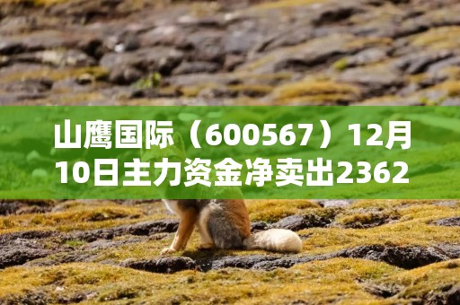 山鹰国际（600567）12月10日主力资金净卖出2362.96万元