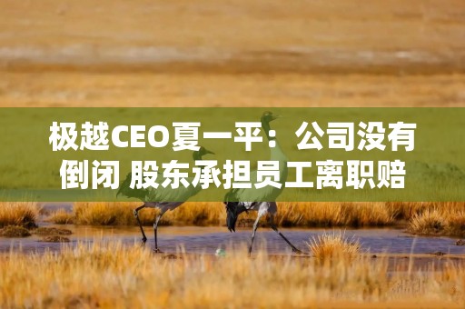 极越CEO夏一平：公司没有倒闭 股东承担员工离职赔偿