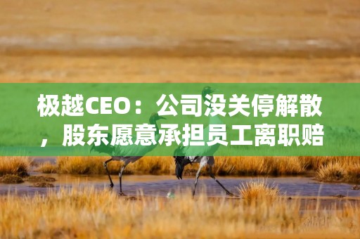 极越CEO：公司没关停解散，股东愿意承担员工离职赔偿，正在争取员工与股东直接对话