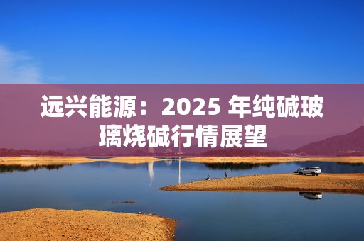 远兴能源：2025 年纯碱玻璃烧碱行情展望