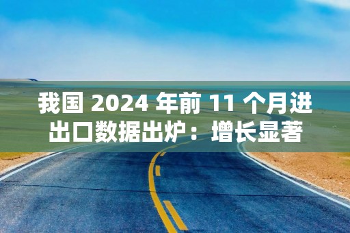 我国 2024 年前 11 个月进出口数据出炉：增长显著