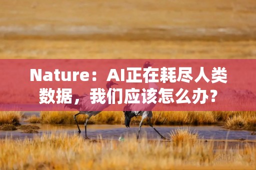 Nature：AI正在耗尽人类数据，我们应该怎么办？