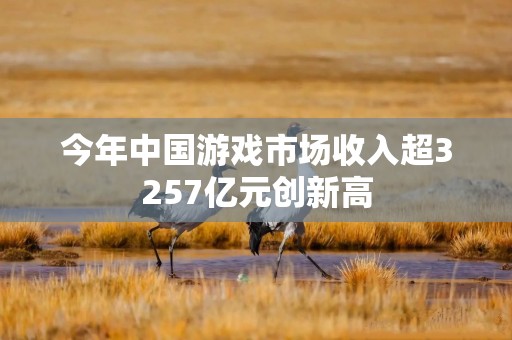 今年中国游戏市场收入超3257亿元创新高