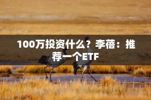 100万投资什么？李蓓：推荐一个ETF