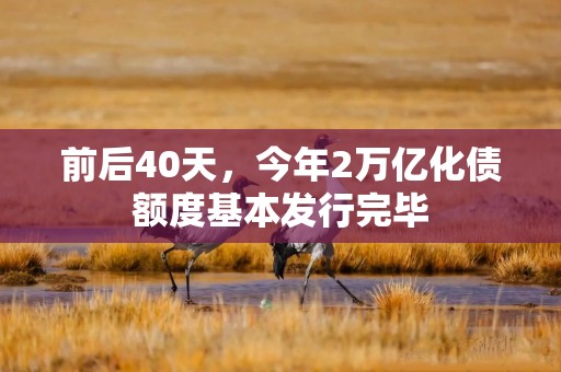 前后40天，今年2万亿化债额度基本发行完毕