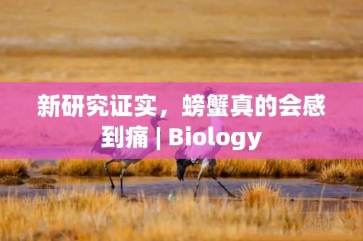 新研究证实，螃蟹真的会感到痛 | Biology