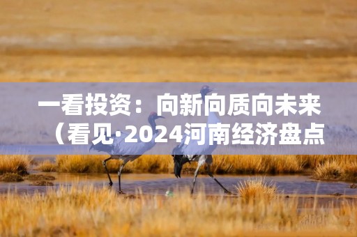 一看投资：向新向质向未来（看见·2024河南经济盘点）