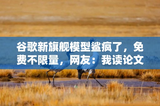 谷歌新旗舰模型鲨疯了，免费不限量，网友：我读论文能力提高10倍