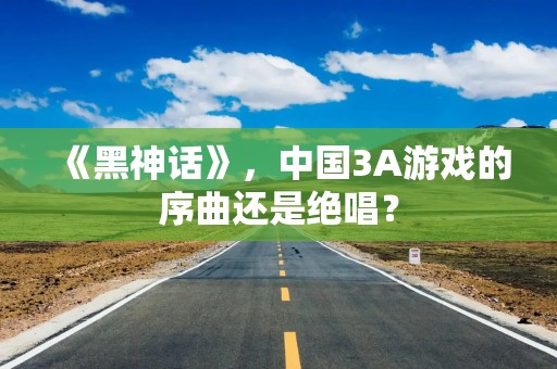 《黑神话》，中国3A游戏的序曲还是绝唱？