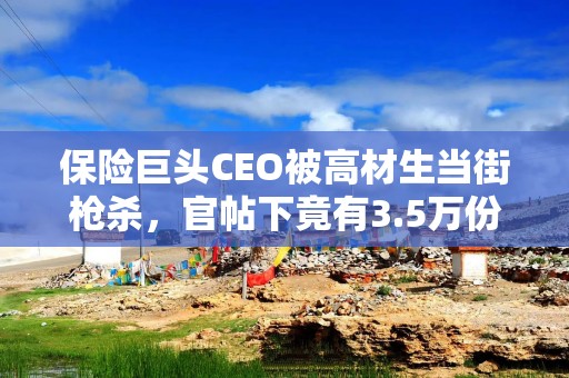 保险巨头CEO被高材生当街枪杀，官帖下竟有3.5万份“哈哈”表情！美国民众为何欢呼？其拒赔率达32%，是同行2倍