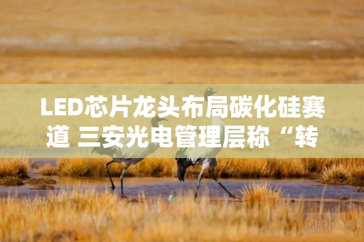 LED芯片龙头布局碳化硅赛道 三安光电管理层称“转型低谷已过”