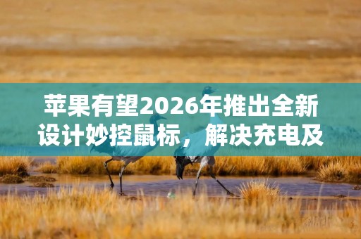 苹果有望2026年推出全新设计妙控鼠标，解决充电及人体工学问题