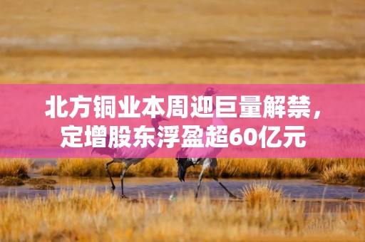 北方铜业本周迎巨量解禁，定增股东浮盈超60亿元