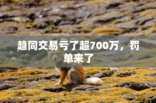 趋同交易亏了超700万，罚单来了