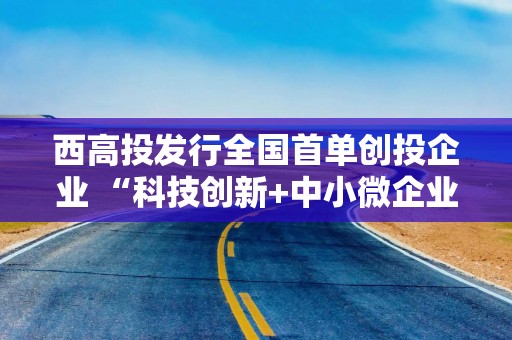 西高投发行全国首单创投企业 “科技创新+中小微企业支持”双品种公司债券