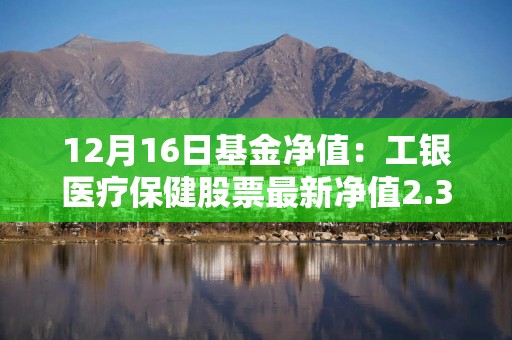 12月16日基金净值：工银医疗保健股票最新净值2.357，跌1.09%