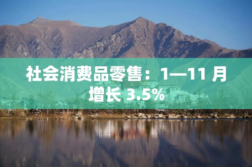 社会消费品零售：1—11 月增长 3.5%