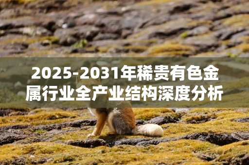 2025-2031年稀贵有色金属行业全产业结构深度分析及投资战略可行性评估预测报告-中金企信发布