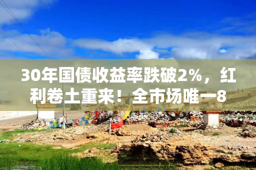 30年国债收益率跌破2%，红利卷土重来！全市场唯一800红利低波ETF（159355）逆市飘红，凸显防御性