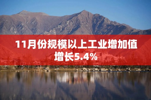 11月份规模以上工业增加值增长5.4%