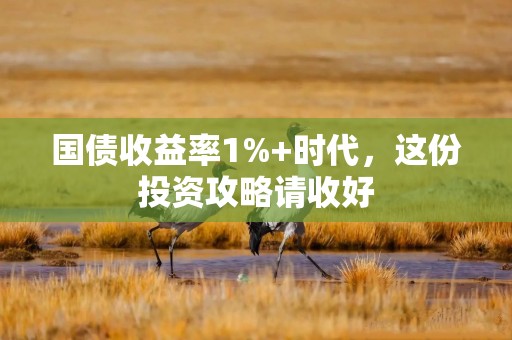 国债收益率1%+时代，这份投资攻略请收好