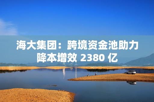 海大集团：跨境资金池助力降本增效 2380 亿