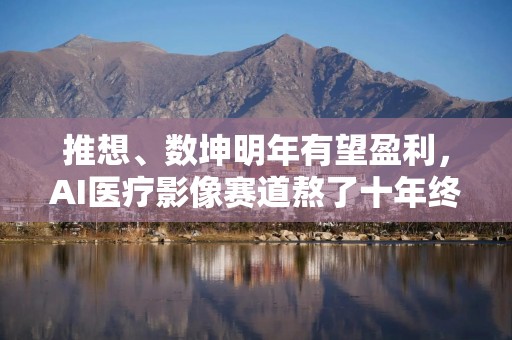 推想、数坤明年有望盈利，AI医疗影像赛道熬了十年终于迎来曙光？