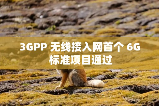 3GPP 无线接入网首个 6G 标准项目通过