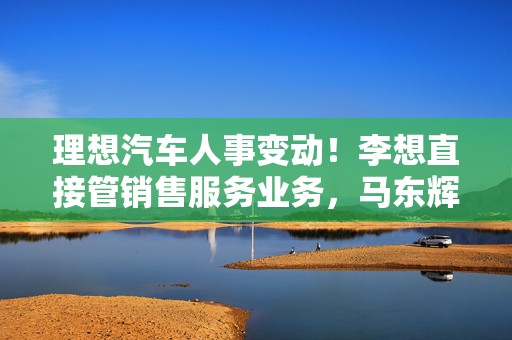 理想汽车人事变动！李想直接管销售服务业务，马东辉接替沈亚楠任总裁